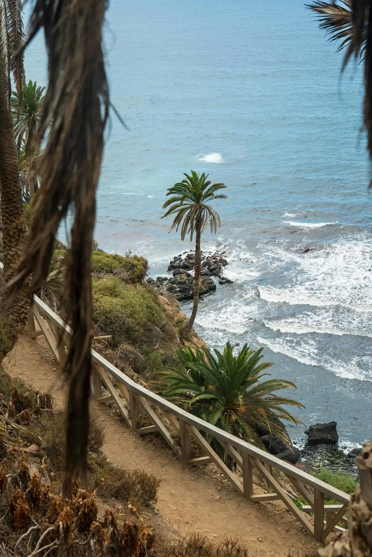 Mirador de San Pedro — Panorama Norte y Teide