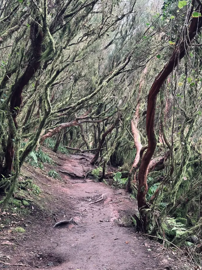 Le Sentier des Sens — Anaga